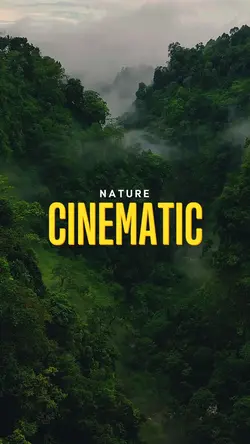 nature cinematic