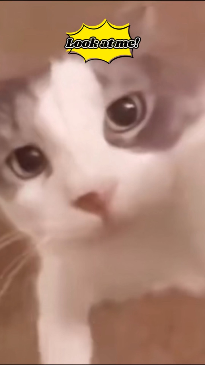 Exibição de produtos Fastfood em um lindo estilo Tik Tok
