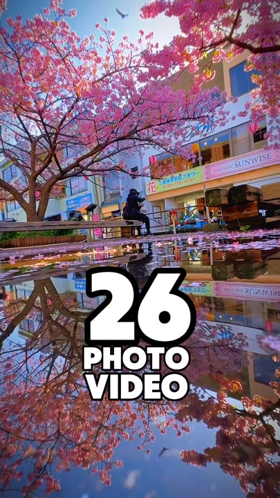 26 clip or photo 