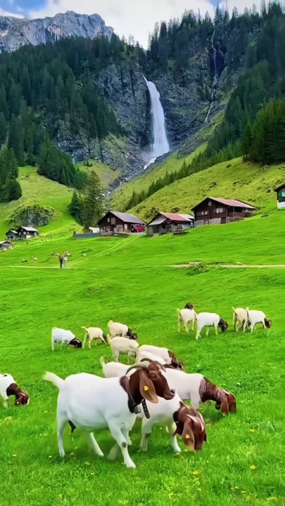 Nature vibes