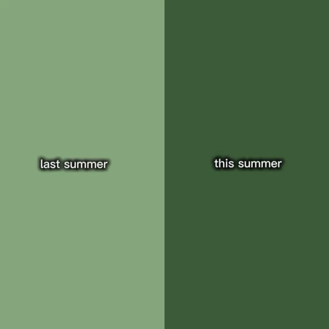 Last summer vs this 