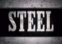 STEEL BALL RUN