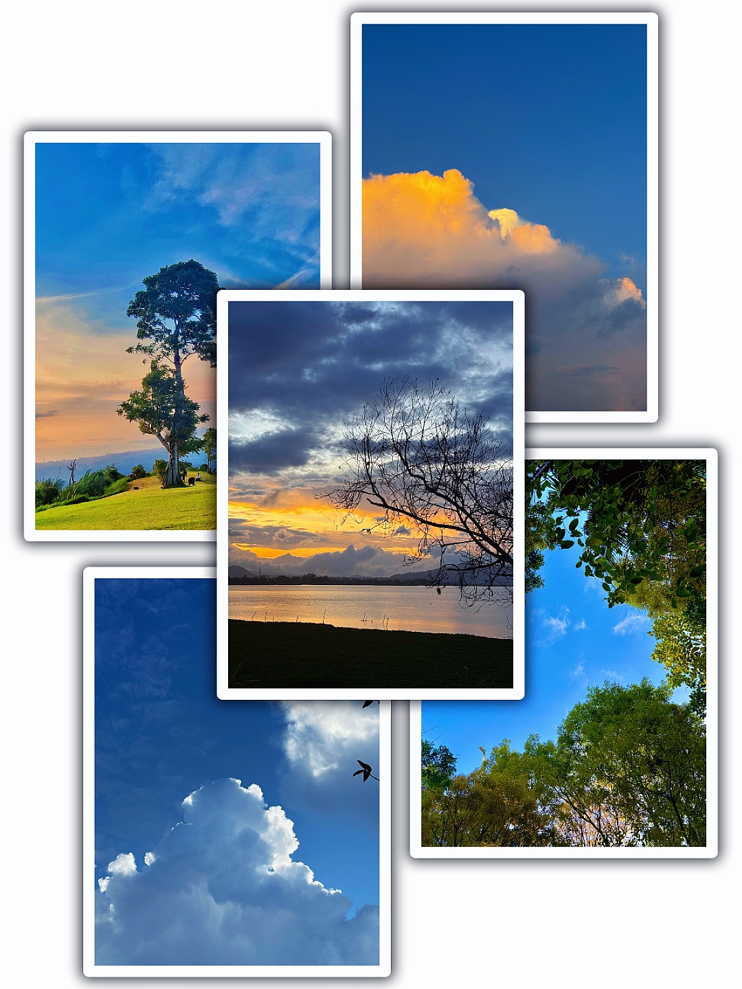5Pic Aesthetic Frame