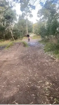 Bike jumps