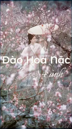 Mỗi cánh hoa🌸