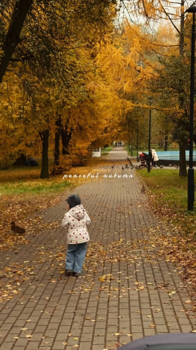 peaceful autumn