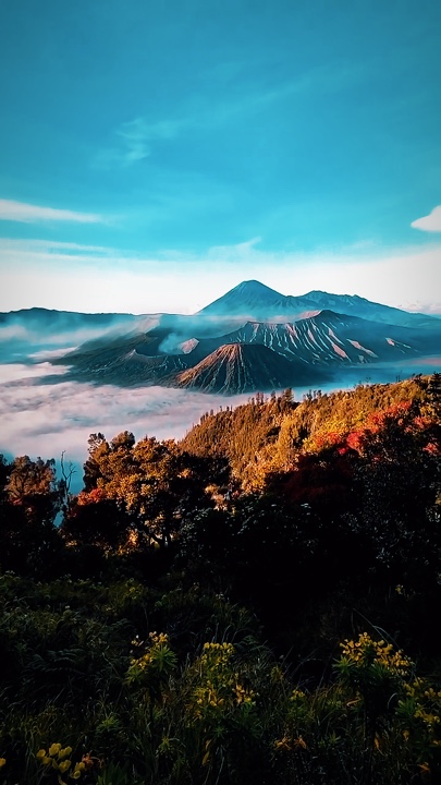 Cinematic Traveling 