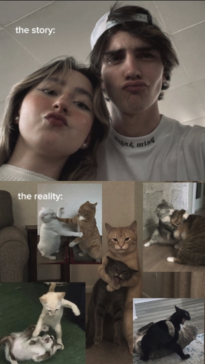 story vs reality 