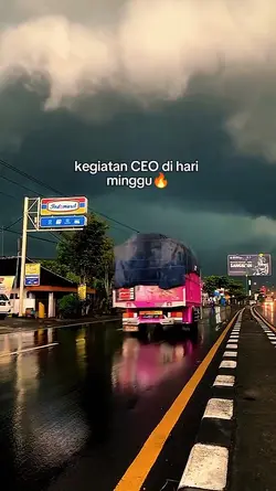 Kegiatan CEO dihari