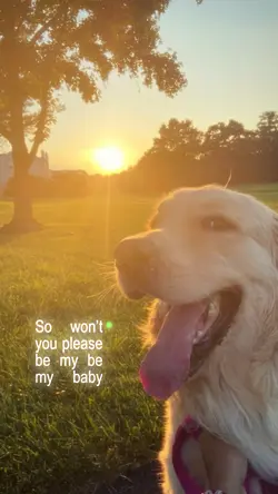 be my baby lyrics