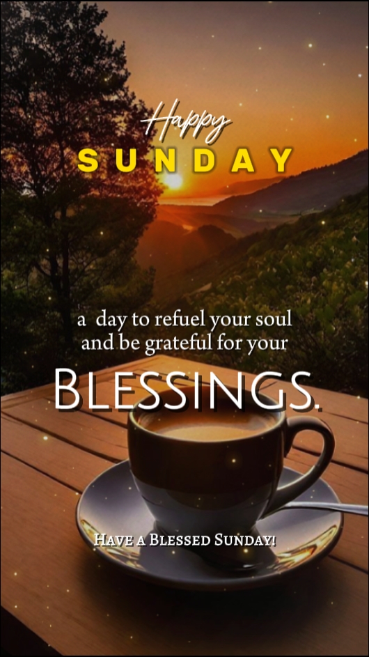 Happy Sunday. 