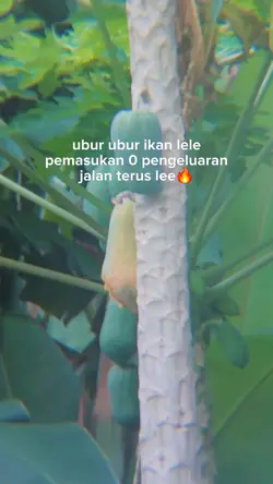 pemasukan 0