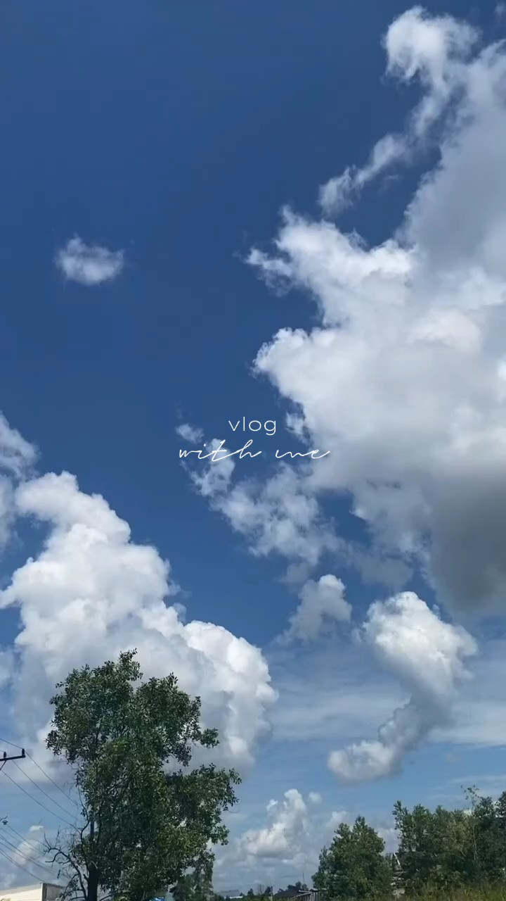 vlog我