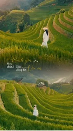 Caption Bình Yên.|