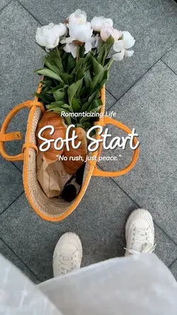 vlog soft start