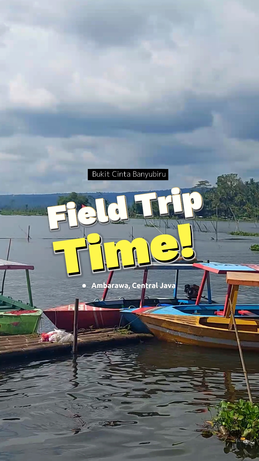 Field Trip Dump