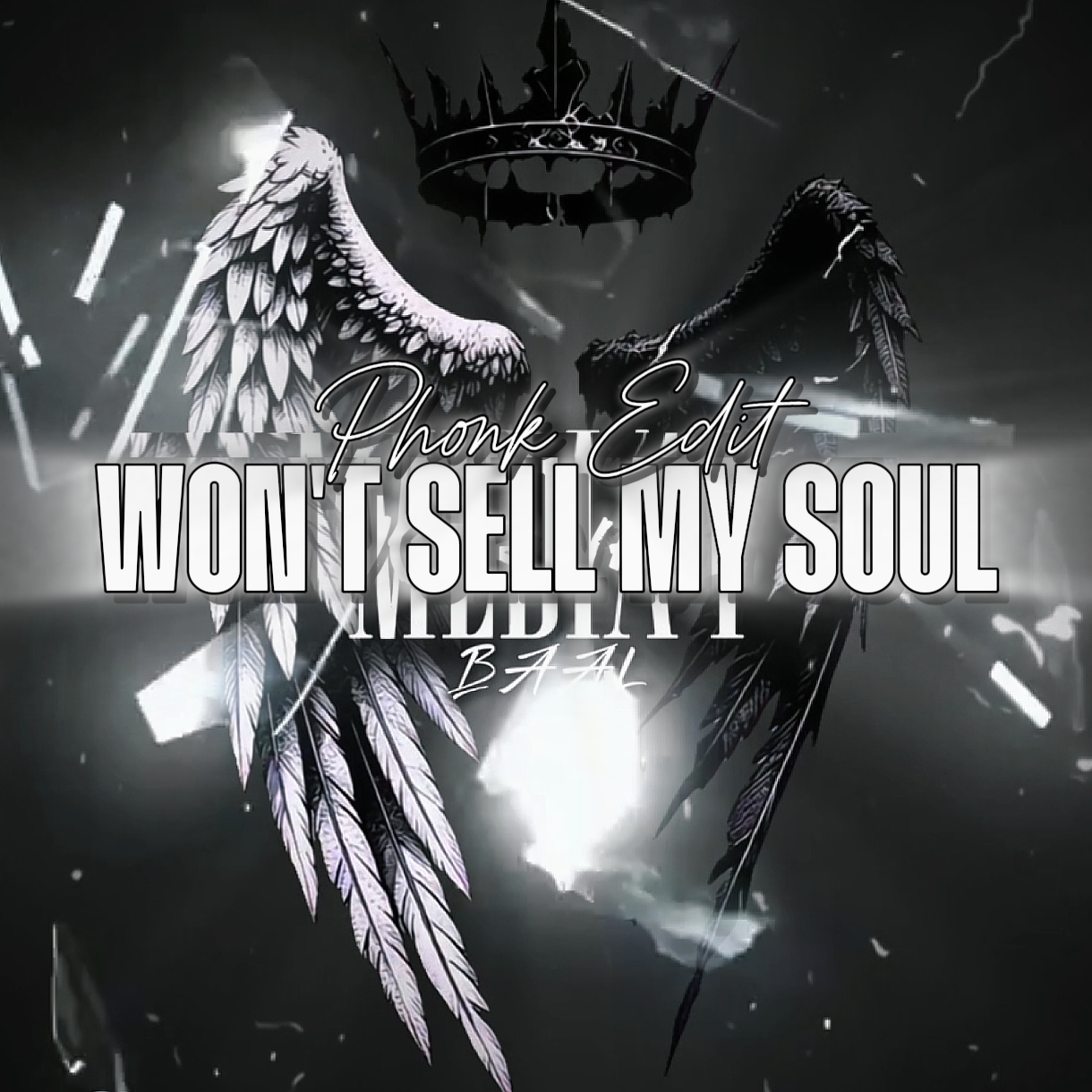Won't Sell My Soul