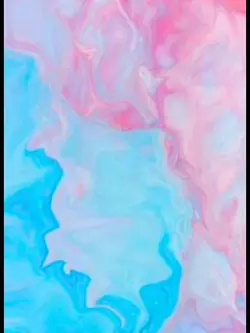 Gender Reveal