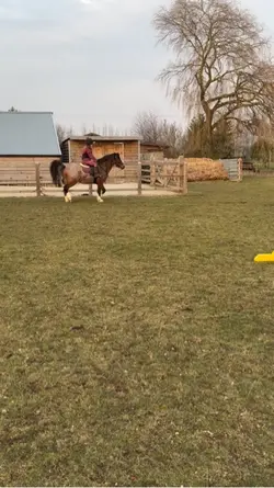 Slow motion