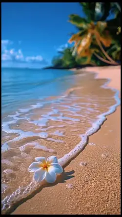 Tranquility 