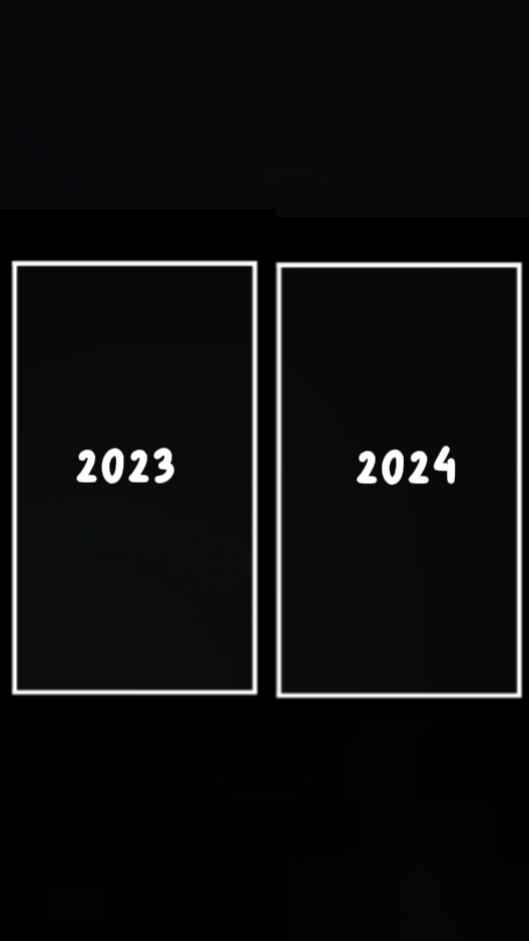 2023 vs 2024