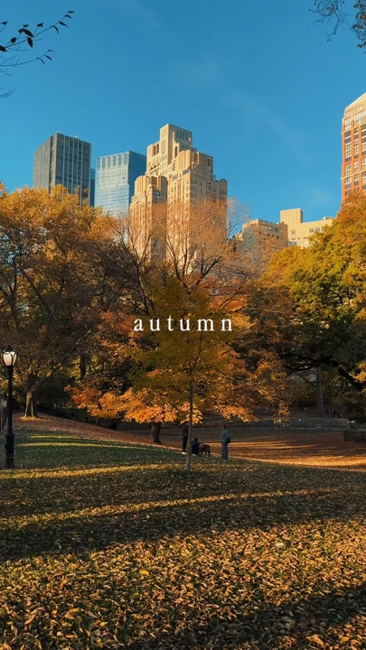 Automne