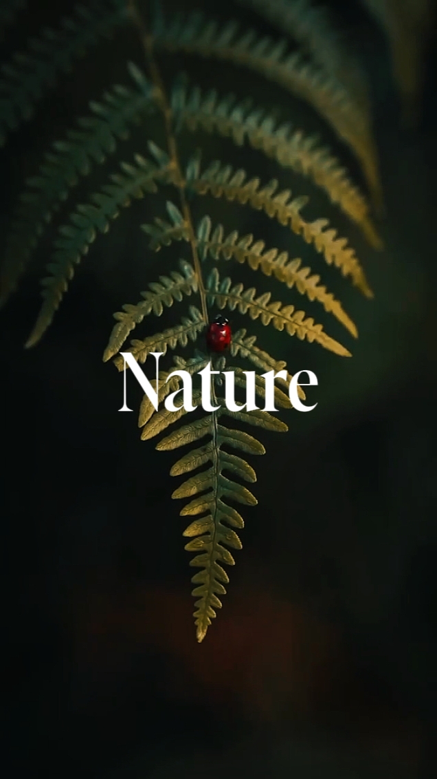 Natureza 9 clipes