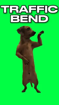 DOG TRAFFIC BEND