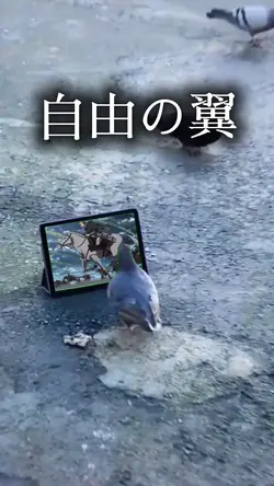 調査兵団　団鳥🪽