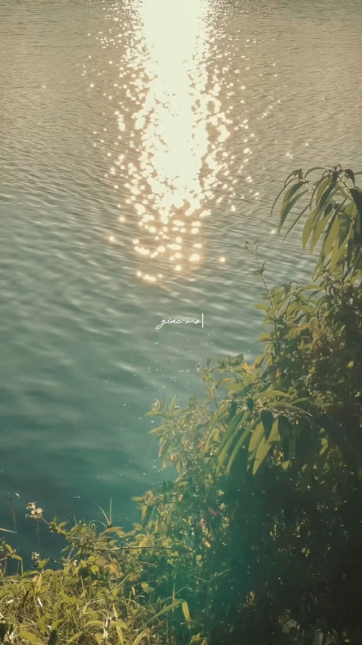Reels ig