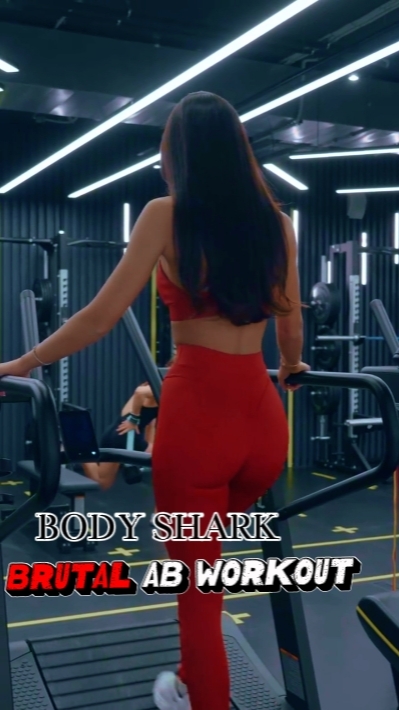 BODY SHARK GYM TRAIN