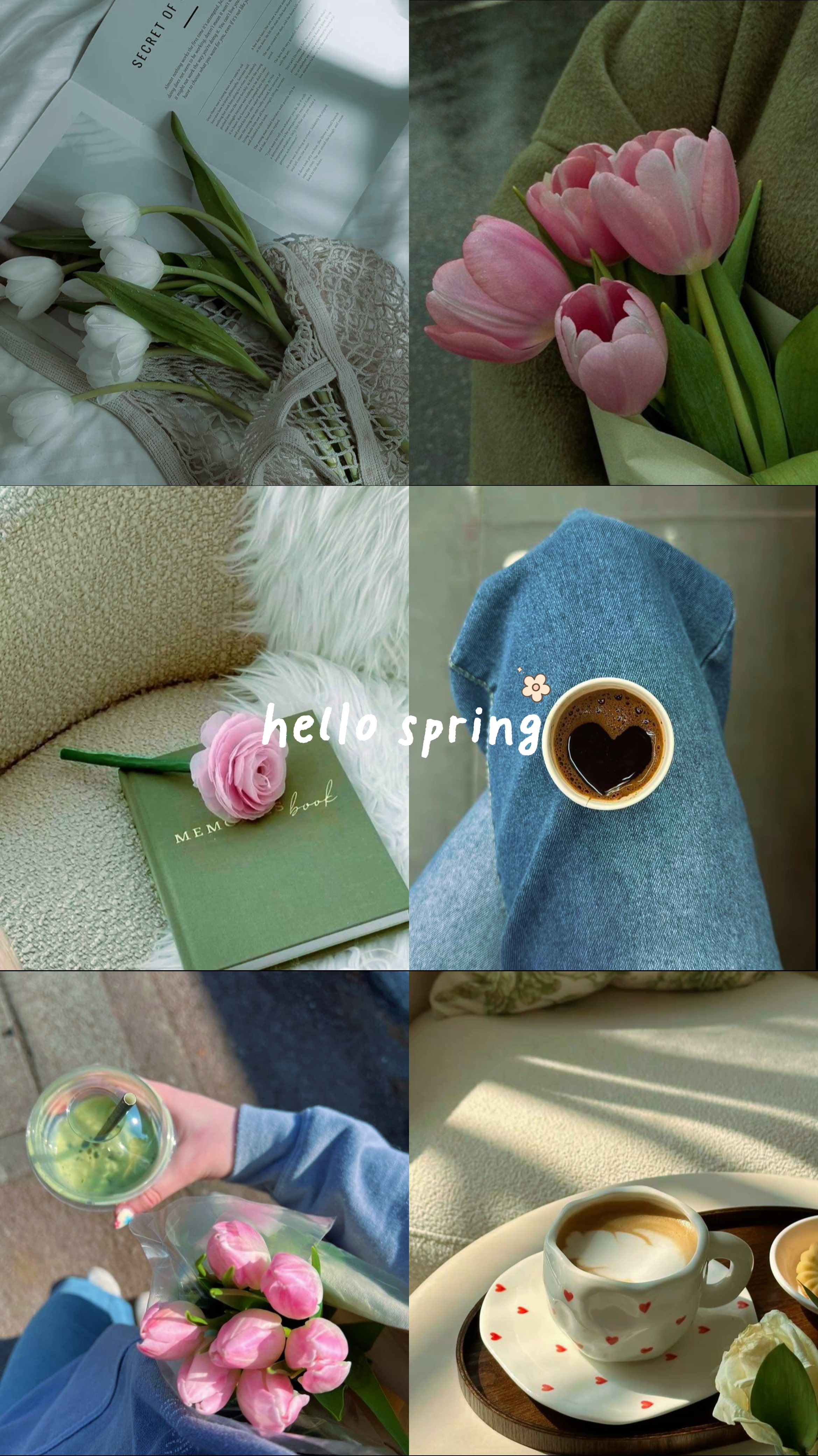 Hola primavera 
