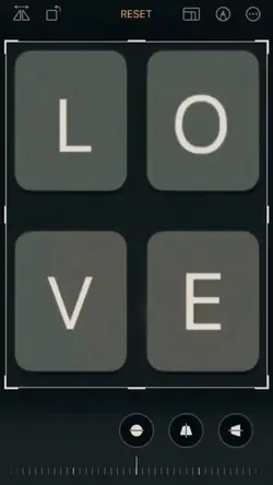 keyboard love cat