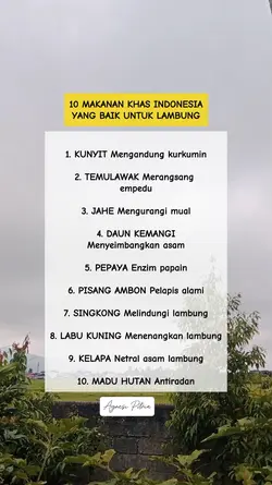 Baik untuk lambung