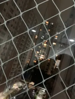excluída 🥺