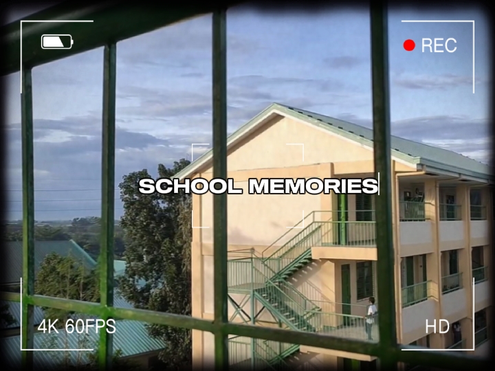 Memórias escolares 