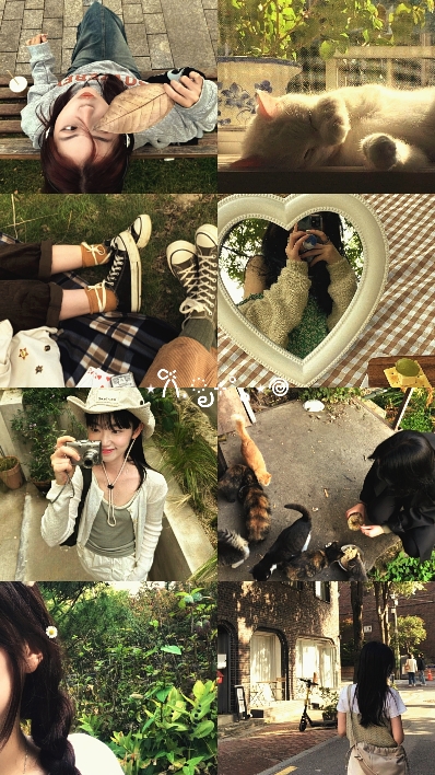 frame 8