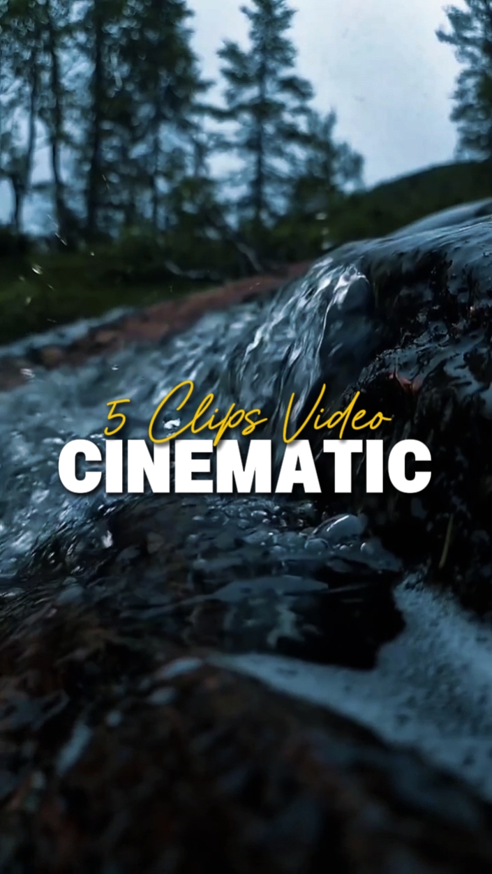 5 Clips de Video 