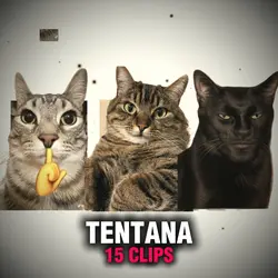 Montagem Tentana