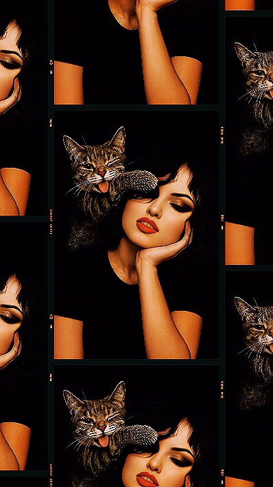 My Pets 