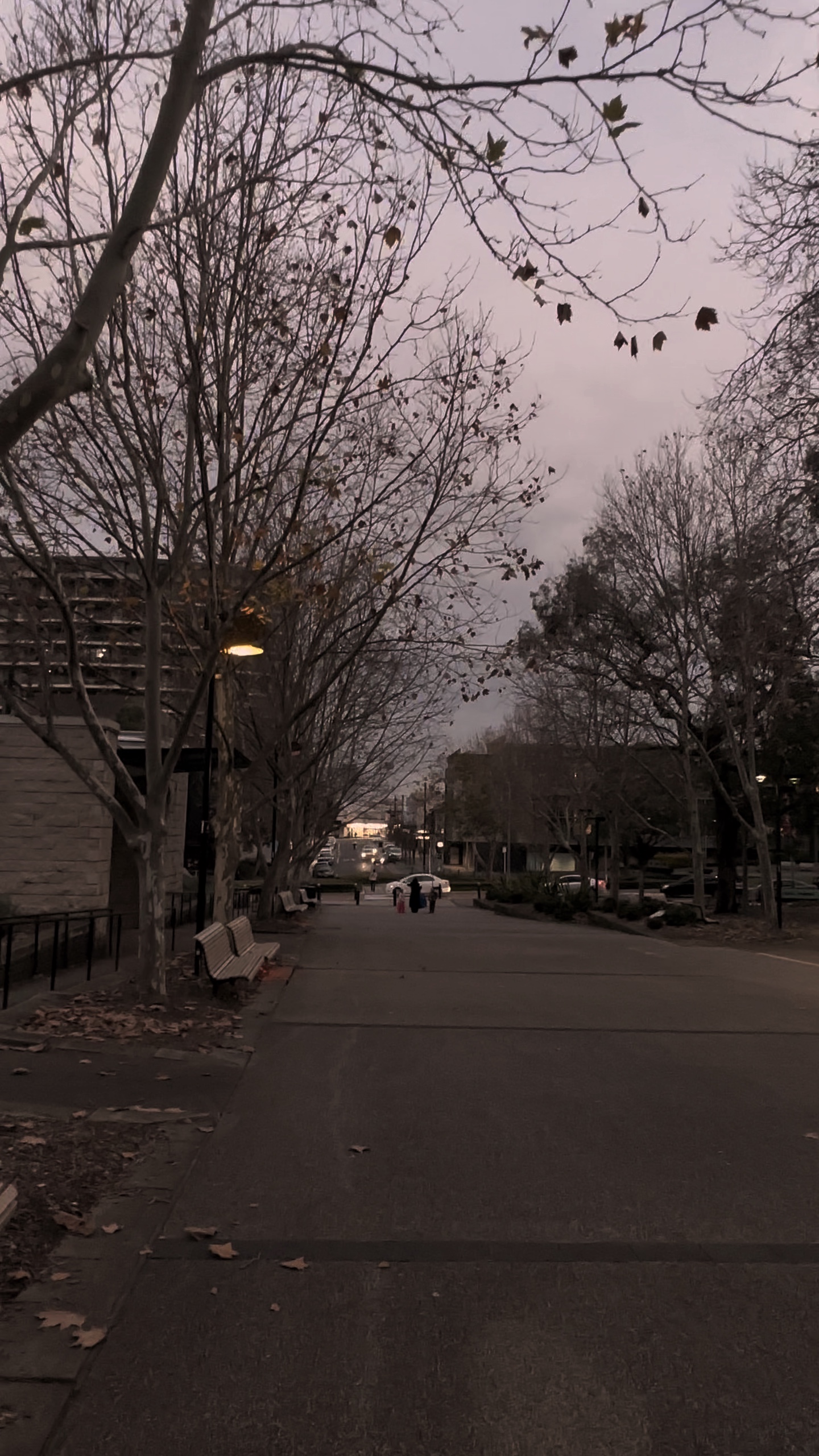 Winter at night 