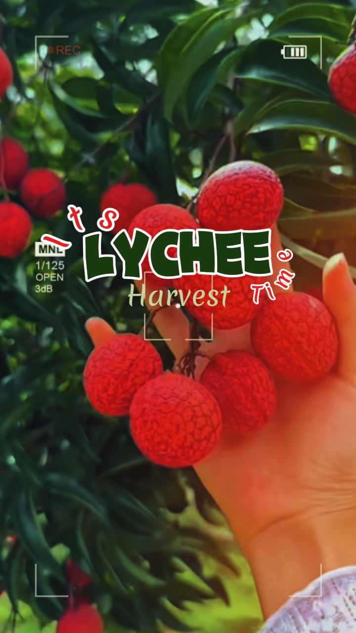 Cosecha del jardín de frutas