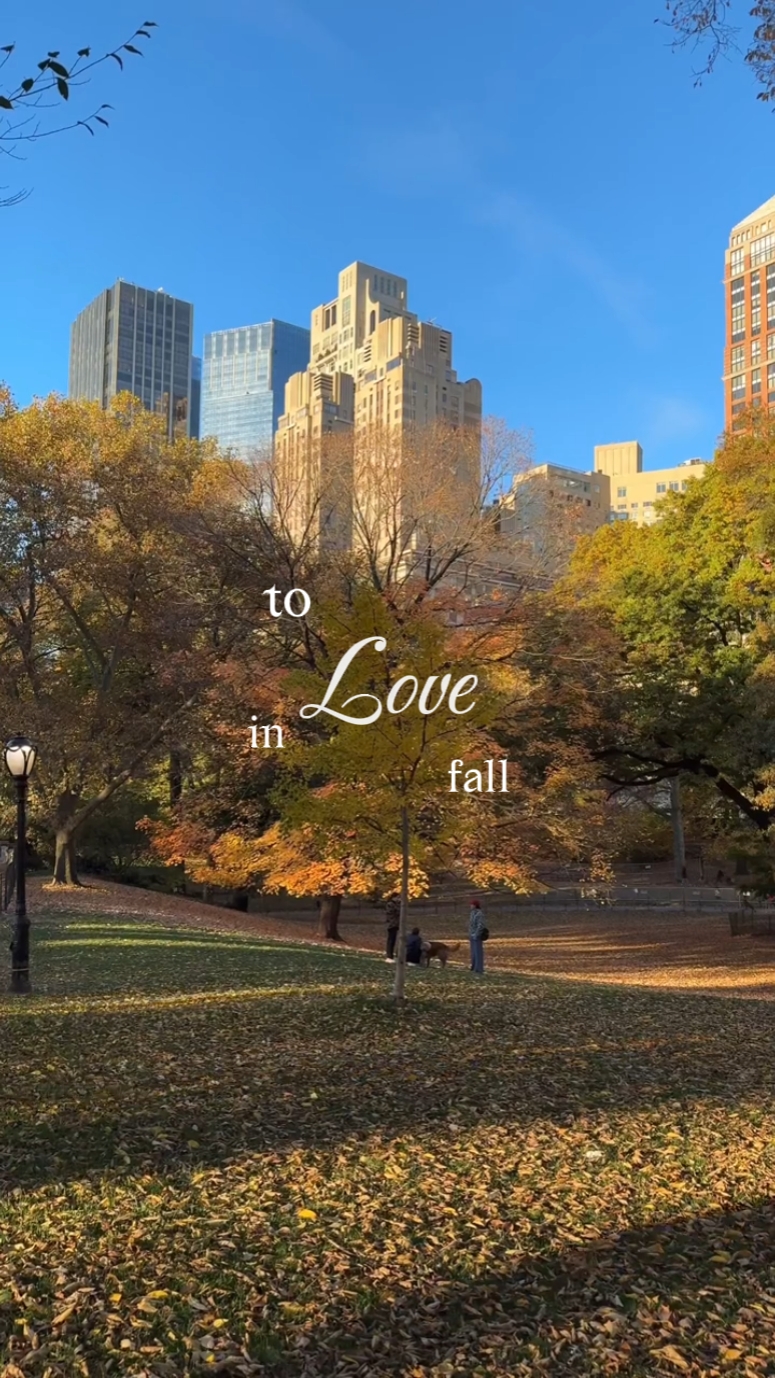 çok kolay tofallinlove