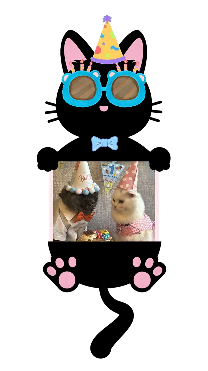 Feliz aniversário gato