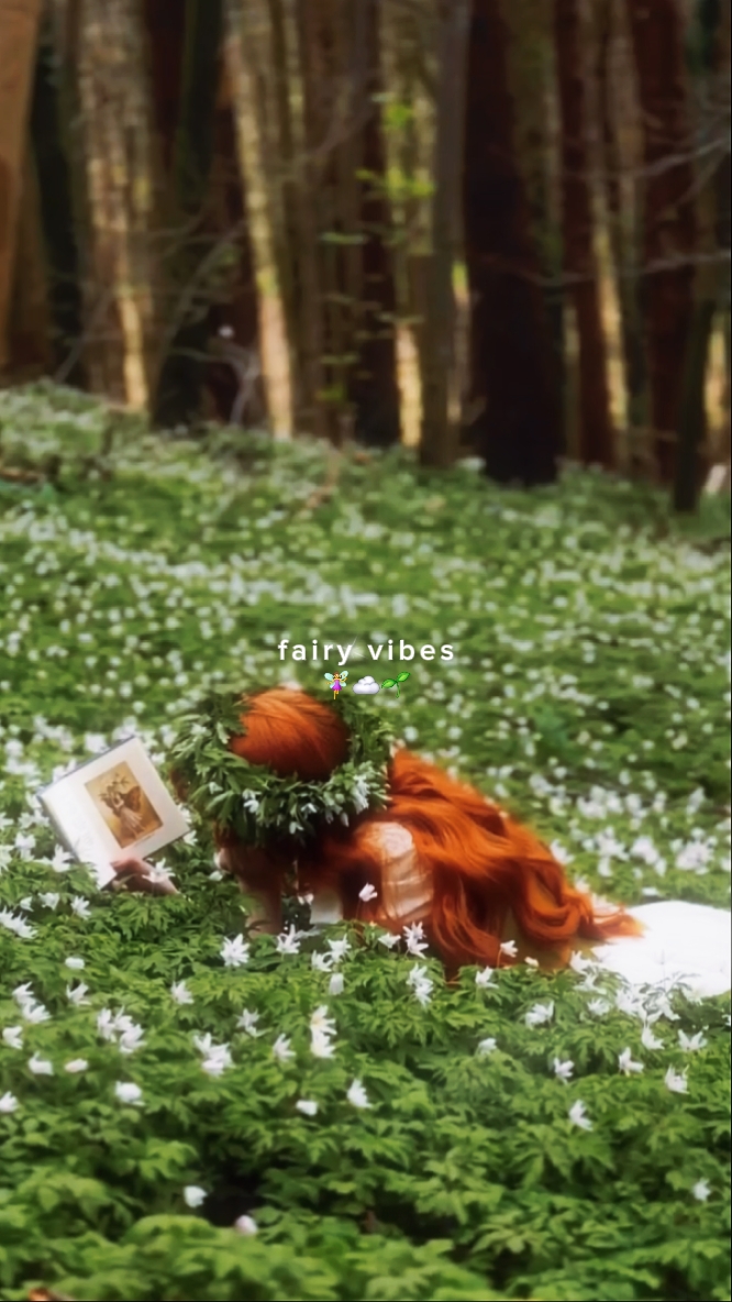 fairy vibes