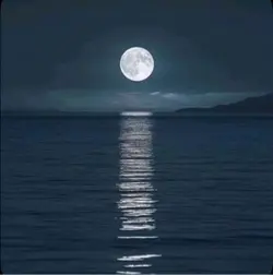 Full Moon 