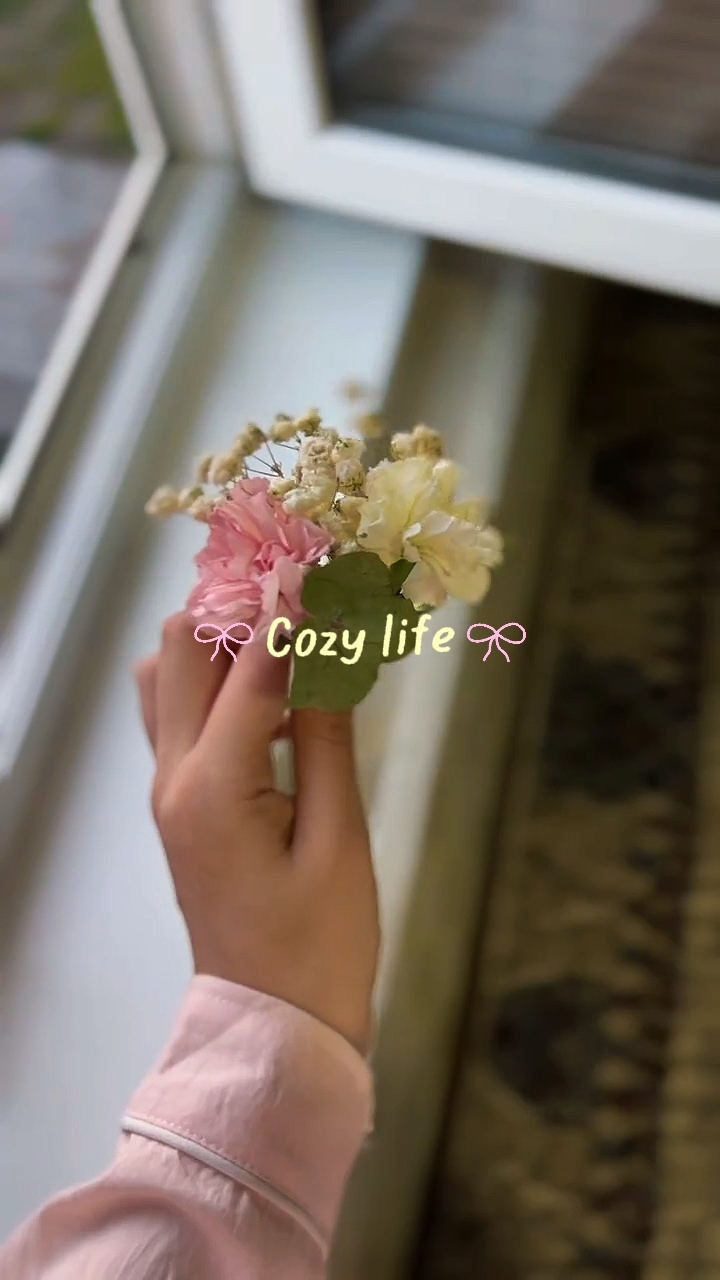 cozy life