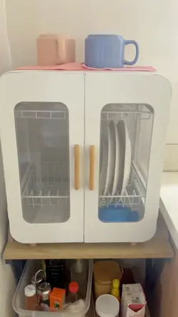 Dish rack organizer