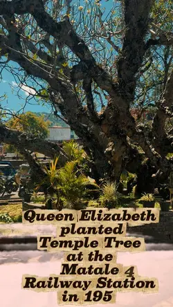 Memories 