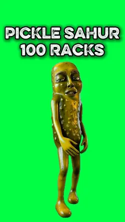100 RACKS PICKLE